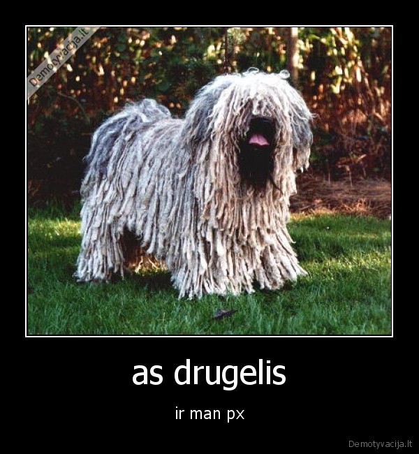 as drugelis