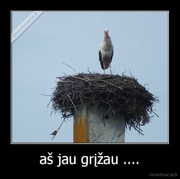 aš jau grįžau ....