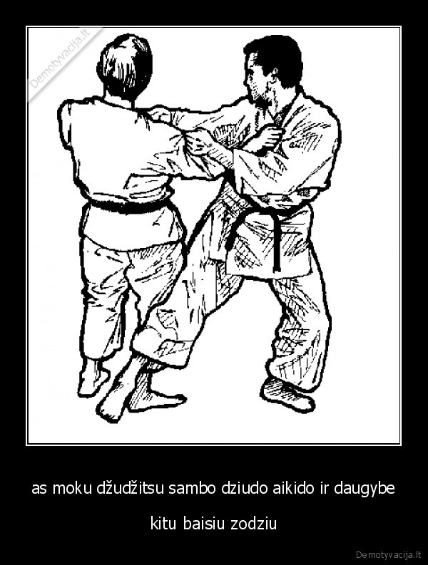 as moku džudžitsu sambo dziudo aikido ir daugybe