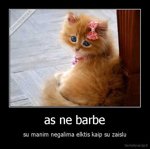 as ne barbe