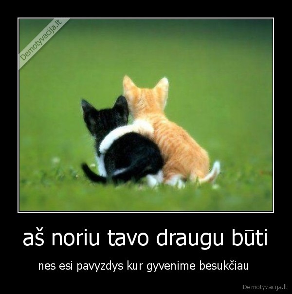 aš noriu tavo draugu būti