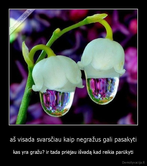 aš visada svarsčiau kaip negražus gali pasakyti