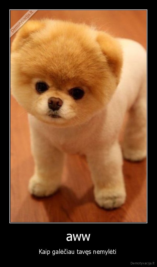 aww