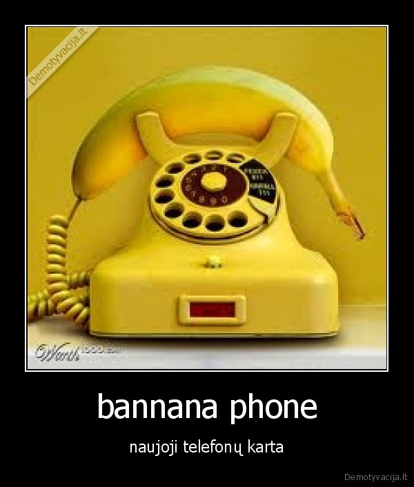 phone