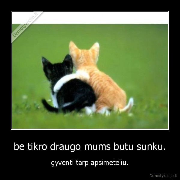 be tikro draugo mums butu sunku.