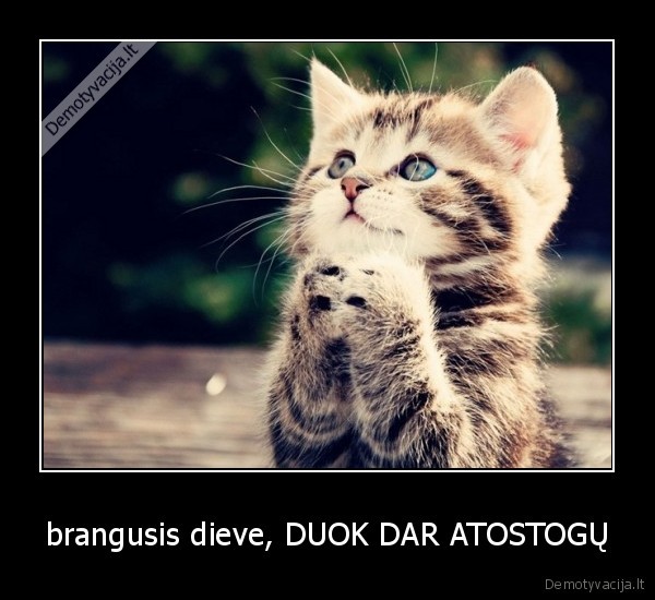 brangusis dieve, DUOK DAR ATOSTOGŲ