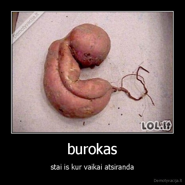 vaikai,burokas