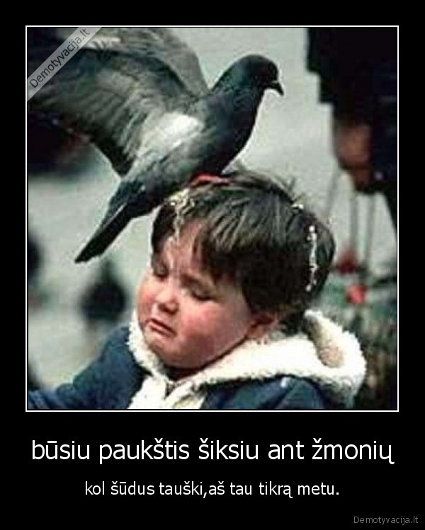 apsikciau, tave, pima