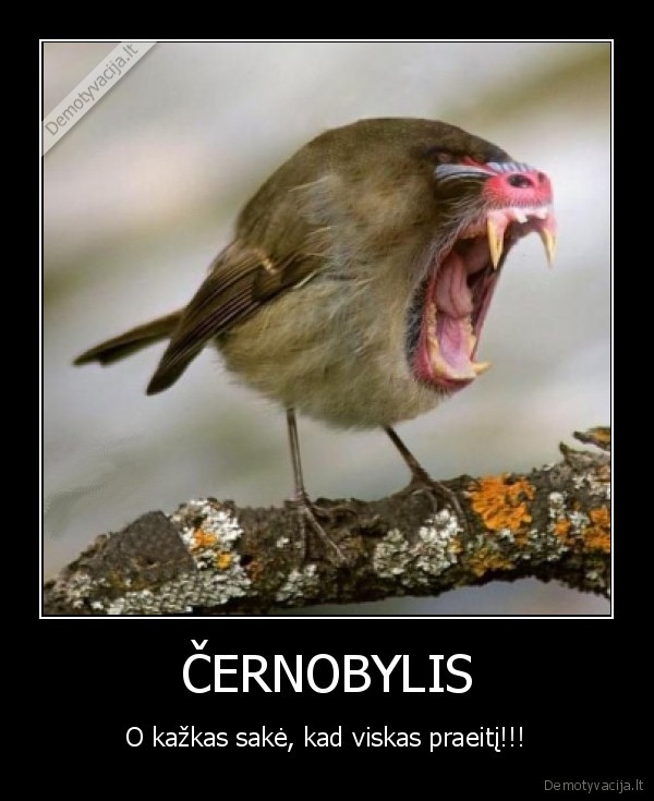 ciarnobylis