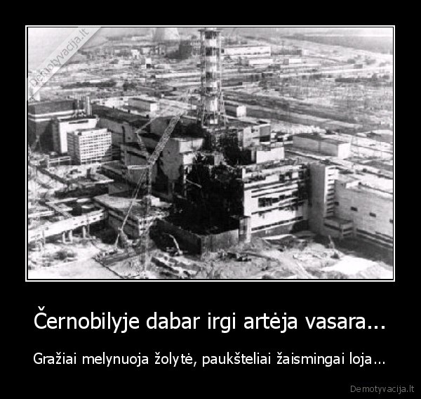 cernobilis