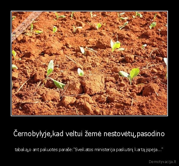 tabakas,cigarietes,ministerija,cernobylis