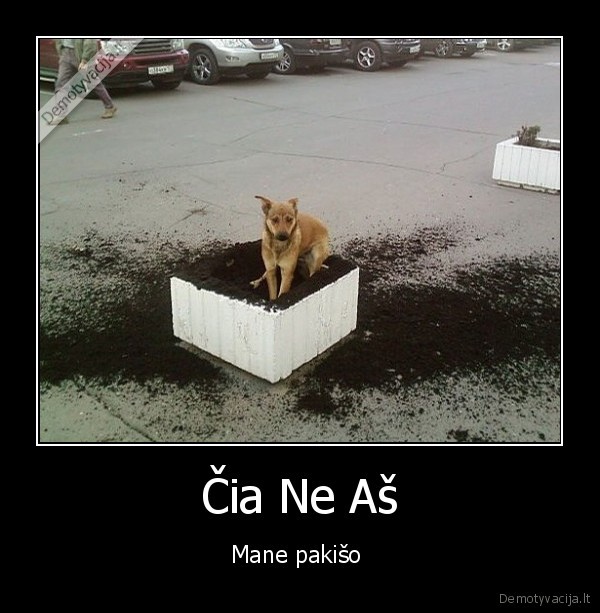 Čia Ne Aš