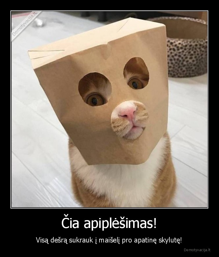 katinas