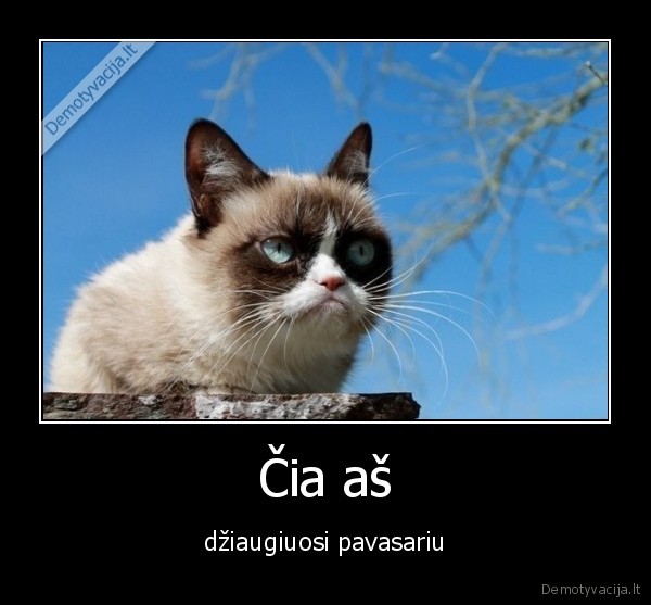 pavasaris,dziaugtis