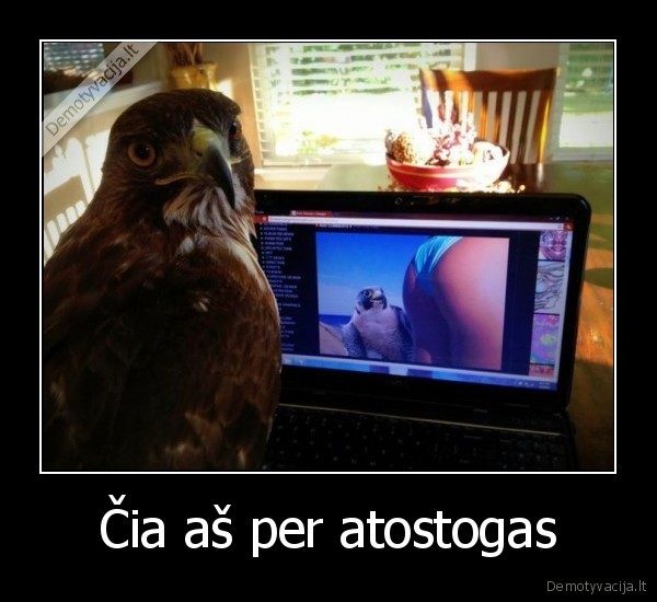 Čia aš per atostogas