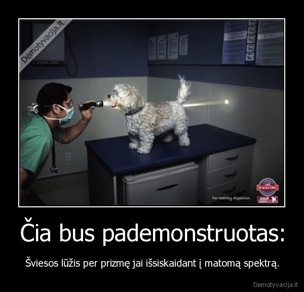 Čia bus pademonstruotas: