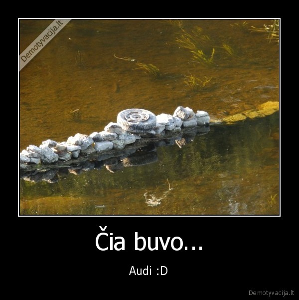 audi,bulka,silke,audi