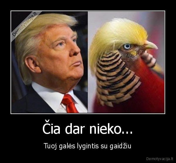 Čia dar nieko...