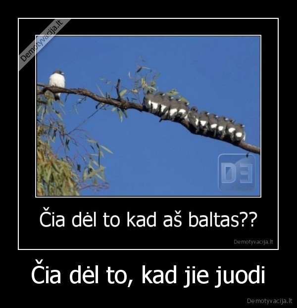 Čia dėl to, kad jie juodi