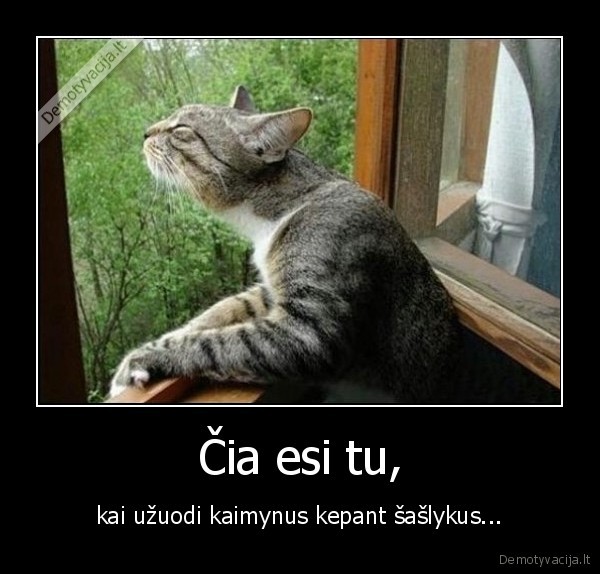 Čia esi tu,