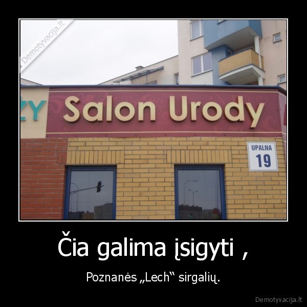 lenkija,sirgaliai