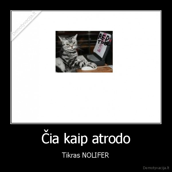 Čia kaip atrodo