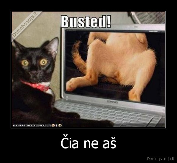 Čia ne aš