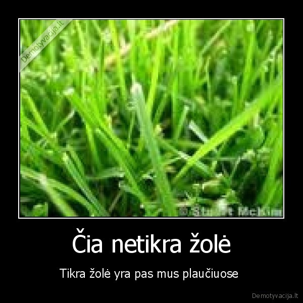 Čia netikra žolė
