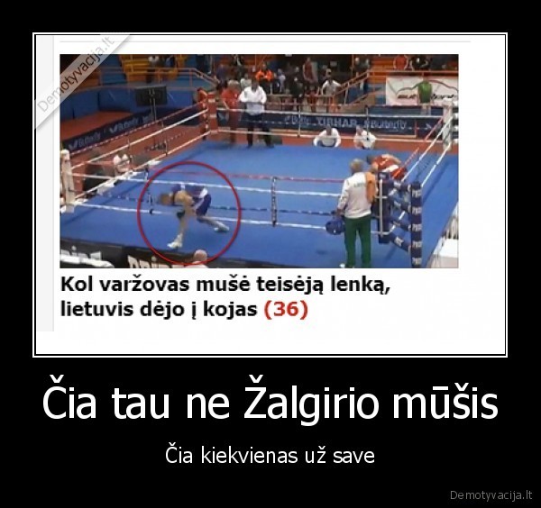 zalgirio, musis