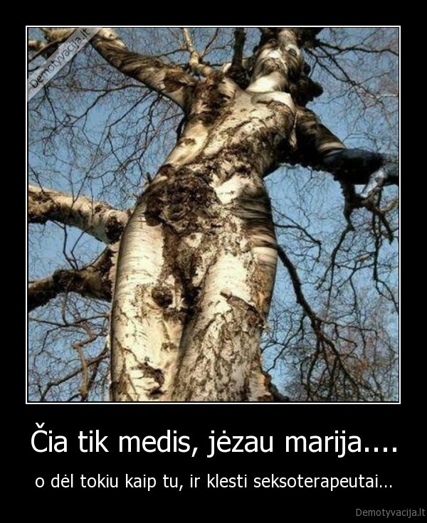 medis,juokas