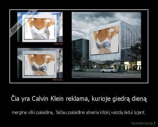 gera, reklama,calvin, klein