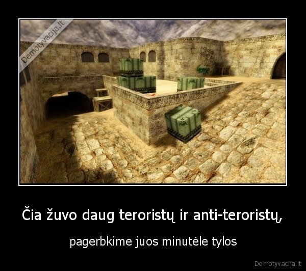 tyla,cs,zuvo