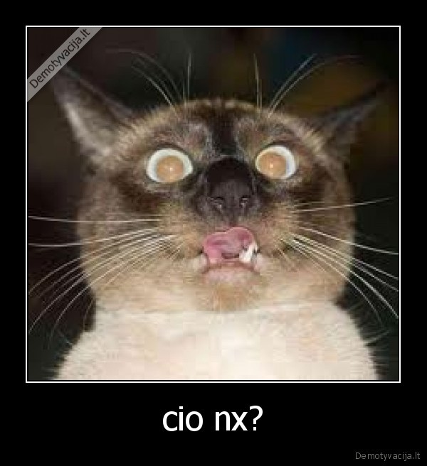 cio nx?