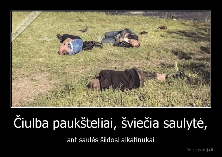 alkatinai,alkoholikai,katinai,saule,silta