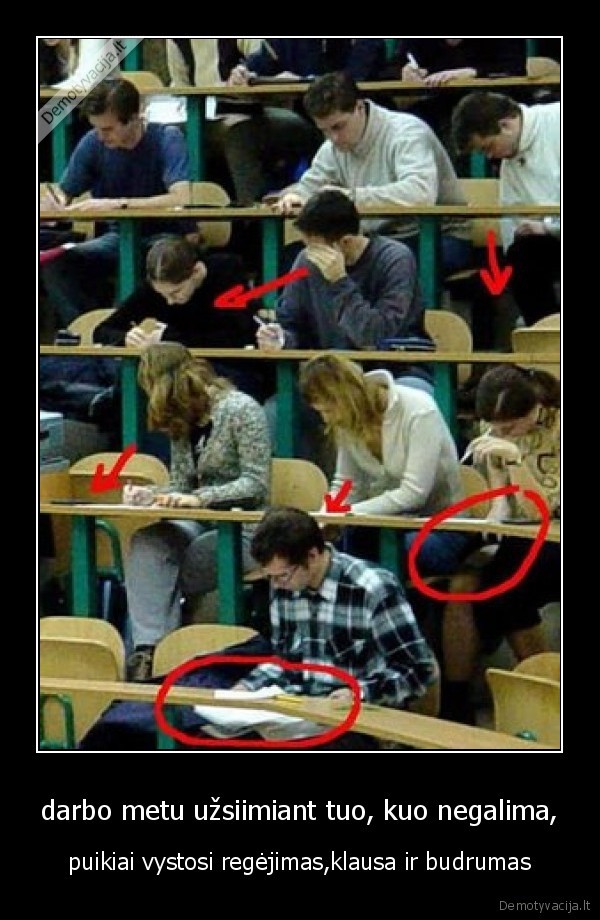 inteligent