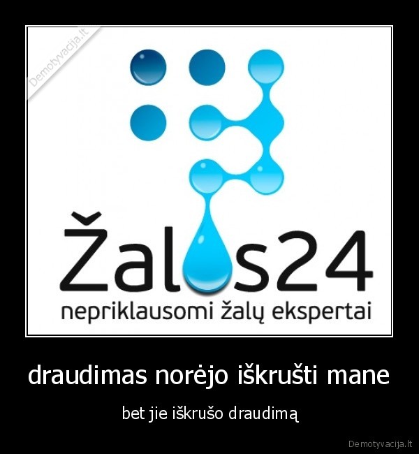 draudimas,zalos