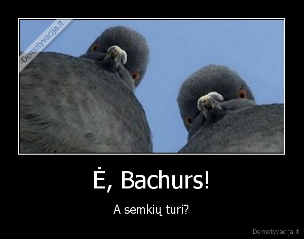 Ė, Bachurs!