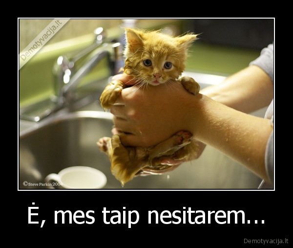 Ė, mes taip nesitarem...