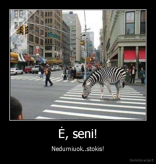 Ė, seni!