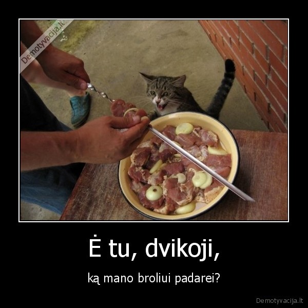 Ė tu, dvikoji,