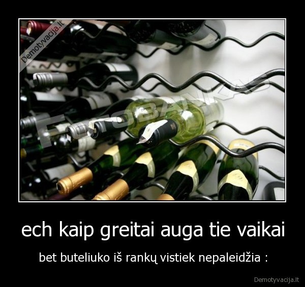 ech kaip greitai auga tie vaikai