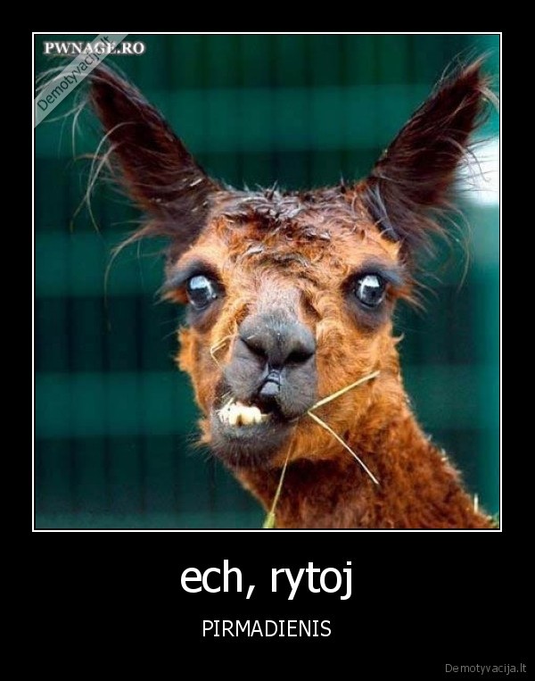 ech, rytoj