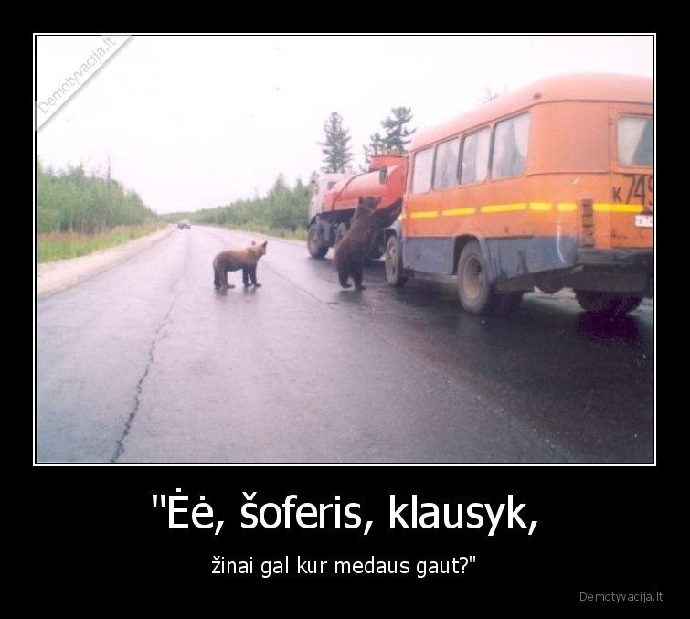 meska,lokys,medus
