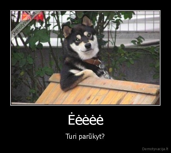 eeeee,turi, parukyt