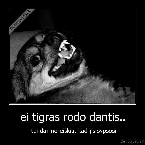 sypsena
