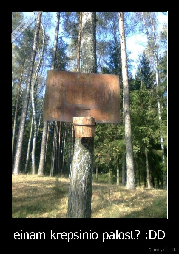einam krepsinio palost? :DD