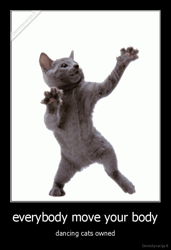 everybody move your body
