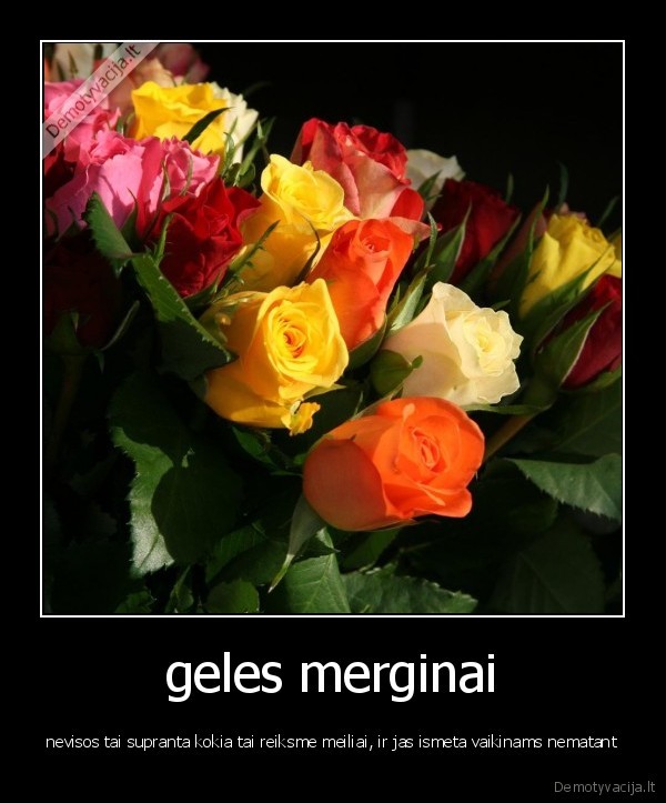 geles merginai