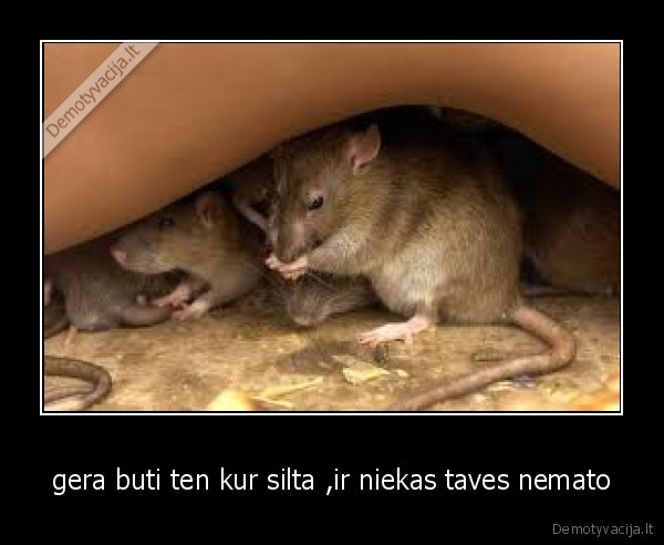 gera buti ten kur silta ,ir niekas taves nemato