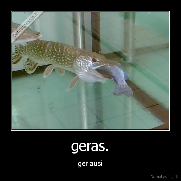 niekas